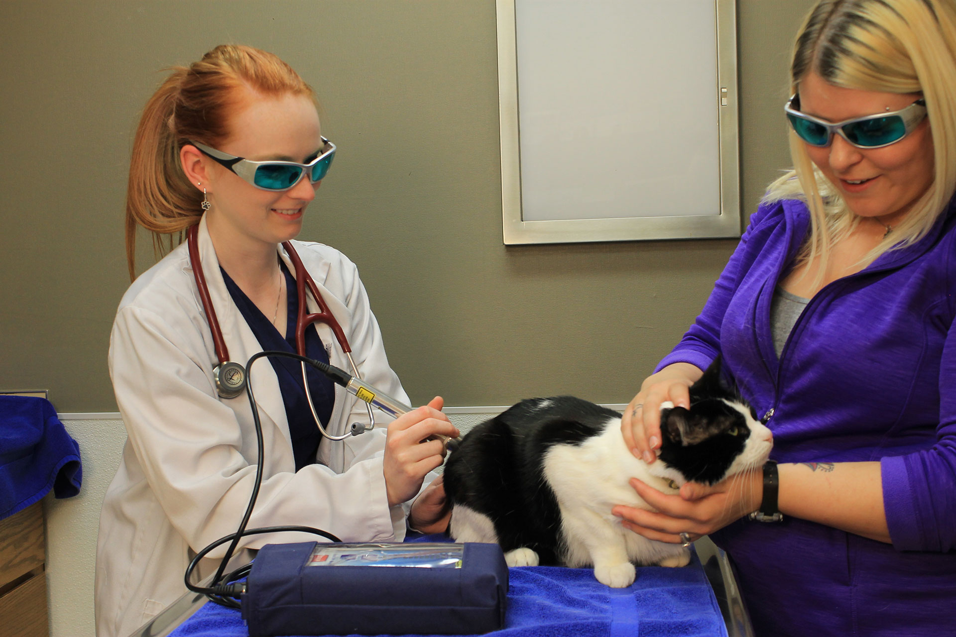 Laser Therapy  Benson, NC 